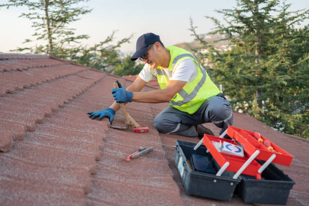 Best Shingle Roofing Installation  in Welsh, LA